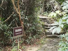 -水濂山森林公园