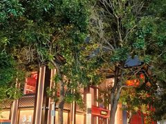 -若蘭慈·无国界素食料理(欢乐海岸店)
