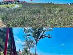 -歌斐颂巧克力小镇