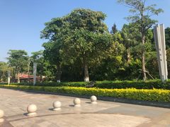 -五通灯塔公园
