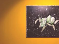 -chi K11艺术空间展览厅