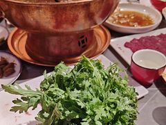 -老吕涮羊肉•东北原味烧烤•大油边•烤鱼(五角场店)