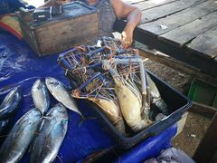 -尼甘布海鲜市场