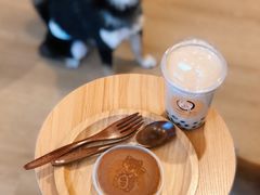 铜锣烧-南京Hallo宠物乐园·哈罗犬舍·柴犬繁育基地