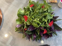 -慢丽江·云南野生菌土鸡锅(付家庄店)