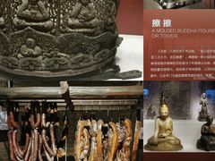 -四川大学博物馆