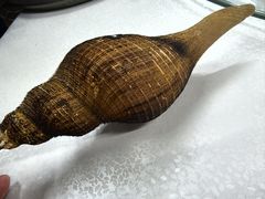 -宜兴隆家宴·私房菜(泰安华庭店)