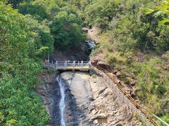 -广州白江湖森林公园