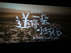 -苏宁影城