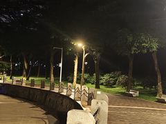 -深圳湾公园(南山区)