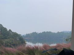 -华凌山庄·隐湖栖