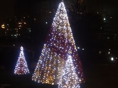 门口夜景2-东怡大酒店(上海科技馆店)