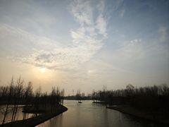 -溱湖国家湿地公园