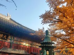 -红螺寺