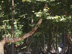 -西安电影制片厂