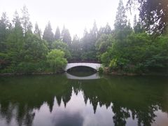 -东平国家森林公园