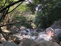 -祁门牯牛降观音堂风景区