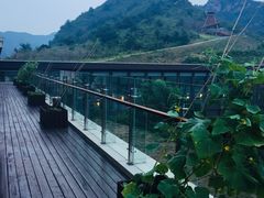 -山顶餐厅·山居菜