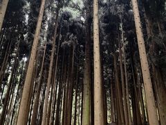-太阳湾风景区