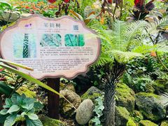 -南山植物园
