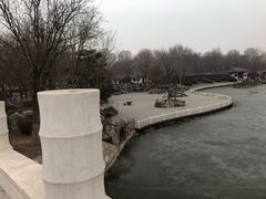 -塘沽森林公园
