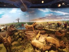 -陕西自然博物馆