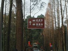 -峨眉山报国寺