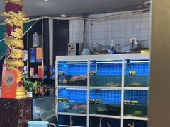 -金龙·打边炉(南京西路店)