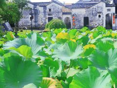 -清漾毛氏文化村