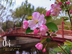 -元大都城垣遗址公园