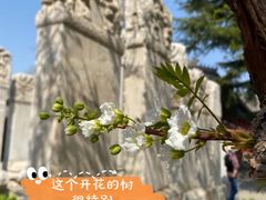 -北京石刻艺术博物馆(五塔寺)