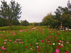 -长春公园(普阳街道)