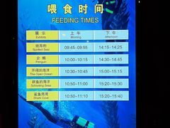 -上海海洋水族馆