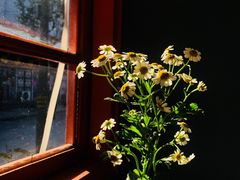 -橘酱餐厅