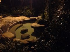 iphone_upload_pic-青城道汤池