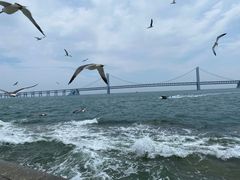 -星海广场