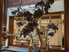 -西安华清御汤酒店