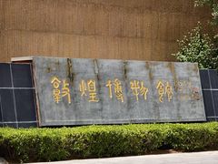 -敦煌市博物馆