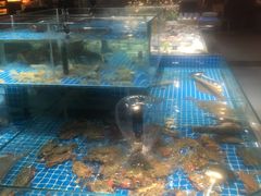 -和源祥·日照菜扛把子(万平口一店)