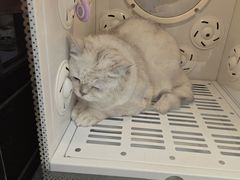 -FAELING PETS美天灵宠物(富力广场店)