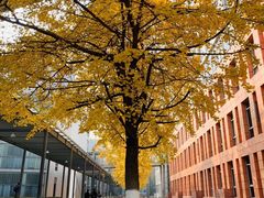-四川大学(江安校区)