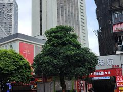 -柳州宾馆-云霄阁·旋转餐厅