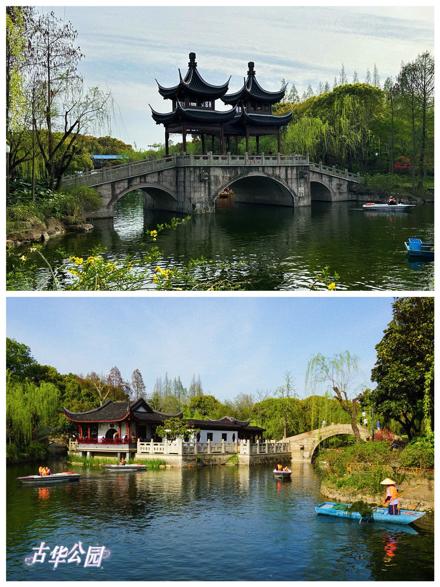 创作者赏金计划
72【景点攻略】古华公园

99详细地址