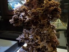 -杭州工艺美术博物馆