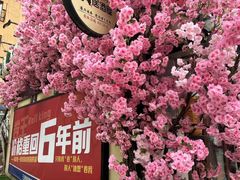 -三月居酒屋(青年大街店)