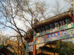 -北京国子监胡同