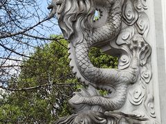 -三峡梯城