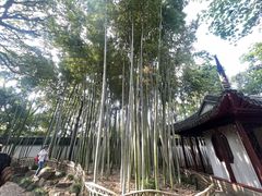 -秋霞圃