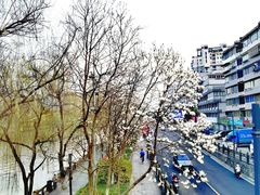 -小河直街历史文化街区