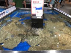 -盒马鲜生(莱蒙都会店)